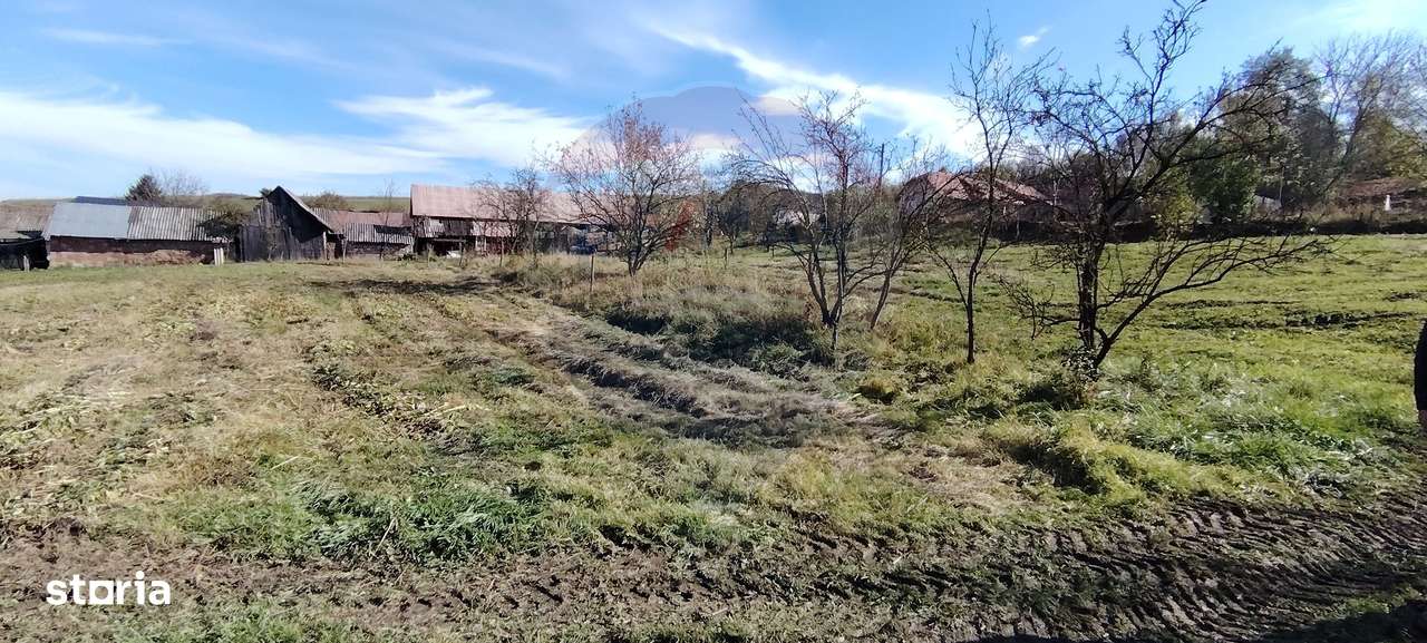 Teren intravilan de vanzare 3,798mp Str.Floreasca - Agnita - Imagine principală: 5/6
