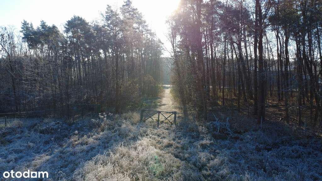 Działka budowlana na osiedlu Leśnym - Pełny obrazek: 4/7