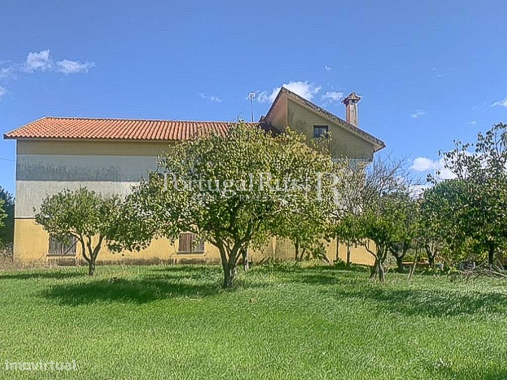 Encantadora Quinta em Alcanena com Moradia e Potencial Agrícola - Grande imagem: 5/29