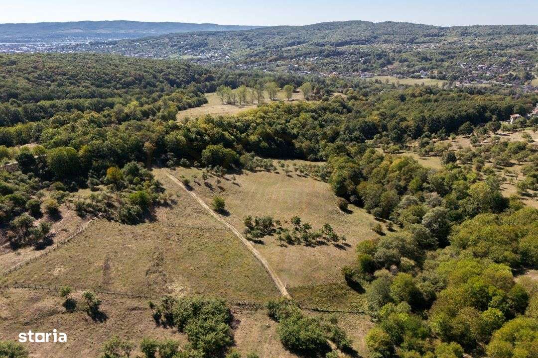 Terenuri 12.225 mp - Ramnicu Valcea, Aranghel - Imagine principală: 2/14