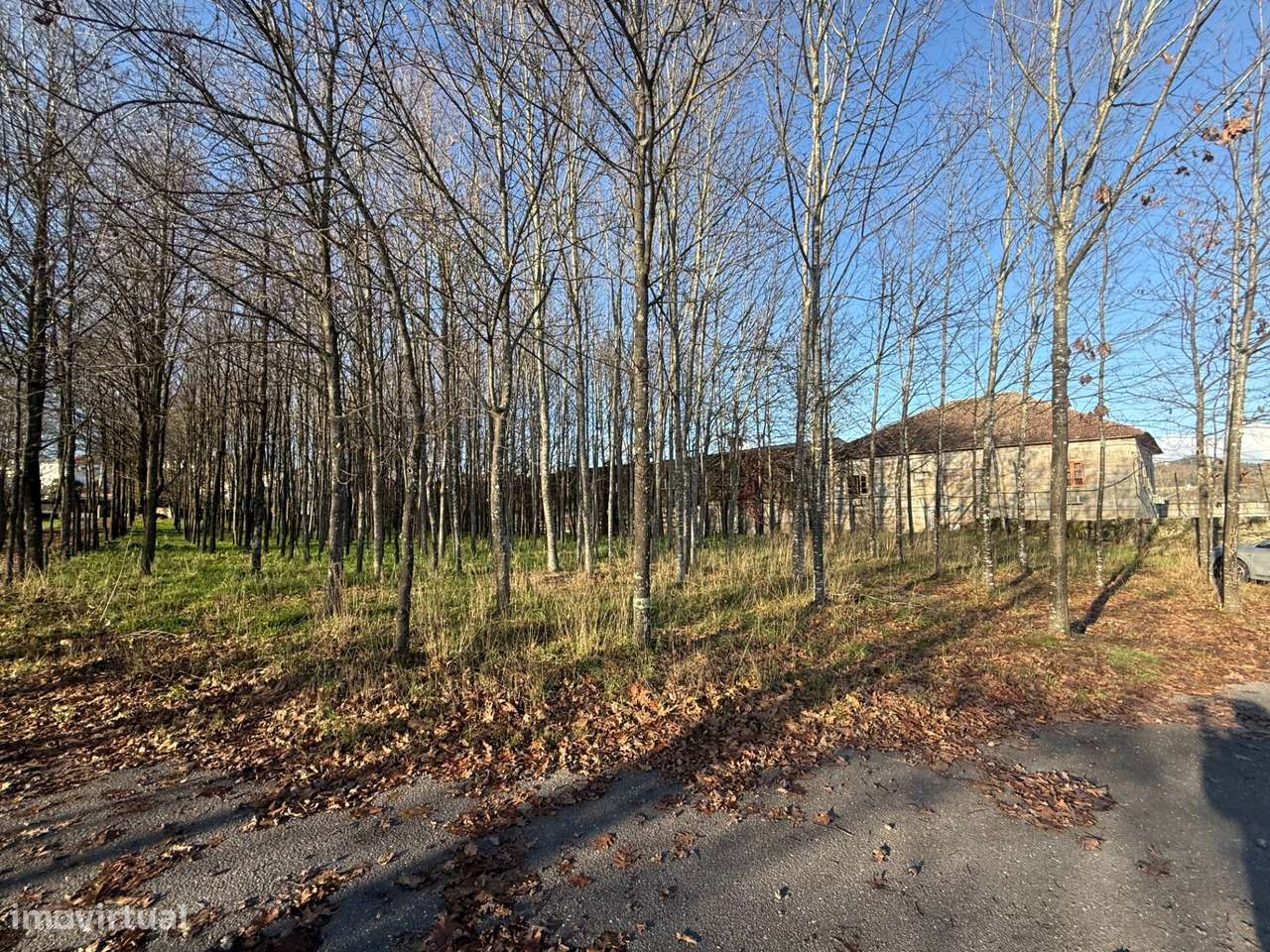 Venda de Conjunto Industrial – Fermentões, Guimarães-34