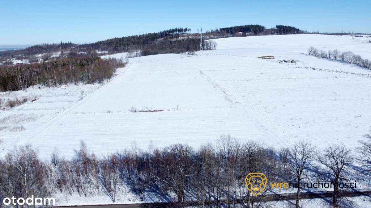 Klimatyczna działka budowlana+Usługi-5