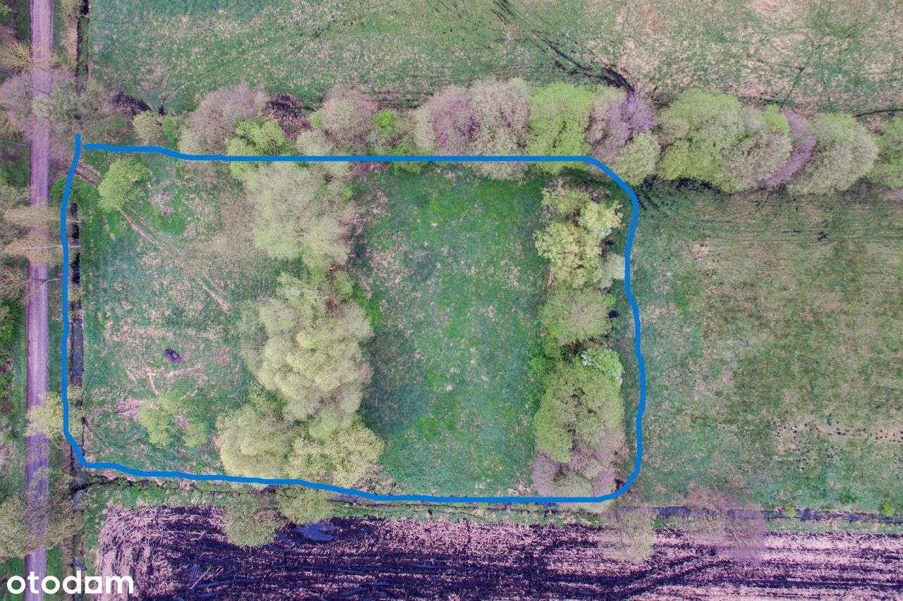 Działka budowlana 0,55ha