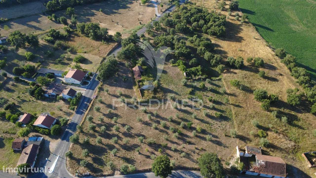 Terreno com ruína a venda em Tomar-4