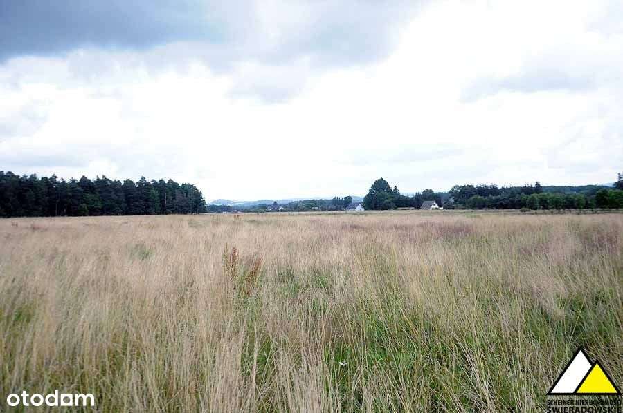 Blisko Wolimierza-10