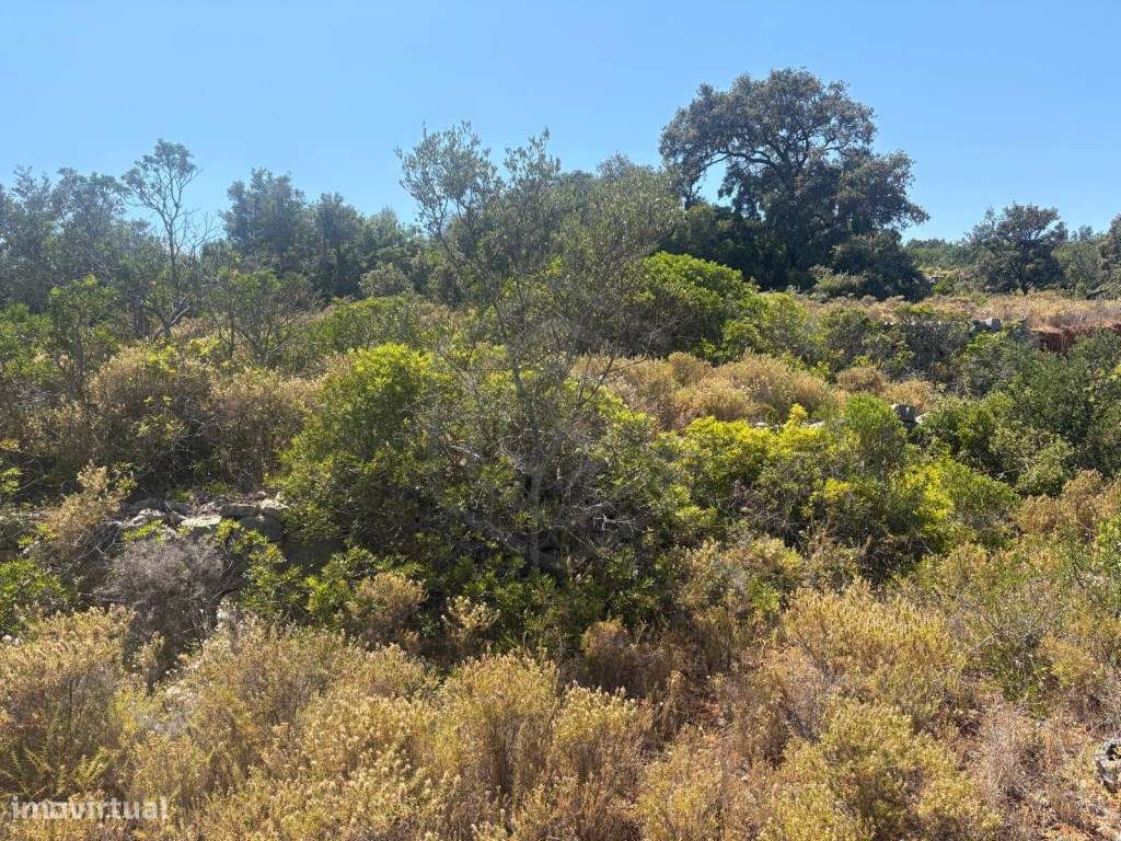 Terreno Rústico com 1.900m2, Loulé, Algarve - Grande imagem: 5/18