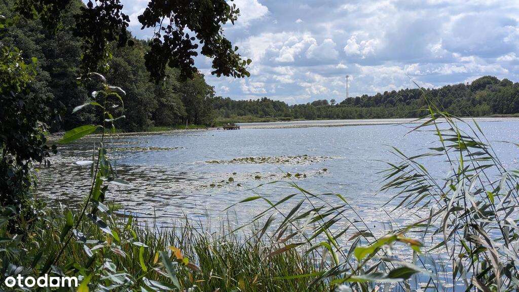 Na sprzedaż siedlisko na Pojezierzu Drawskim.-12