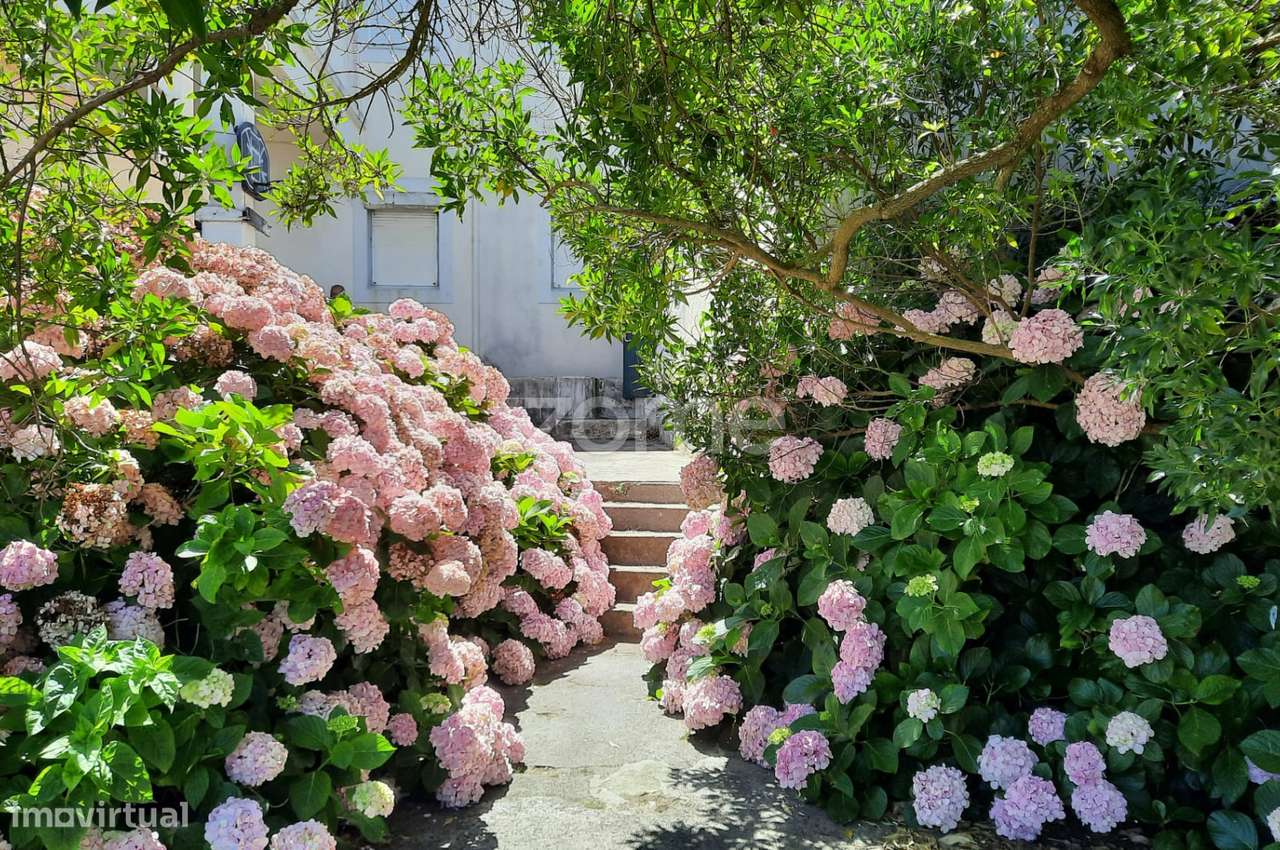 T10 no melhor Sitio da Nazaré-28