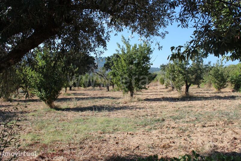 Quintinha / Fundão, Aldeia de Joanes