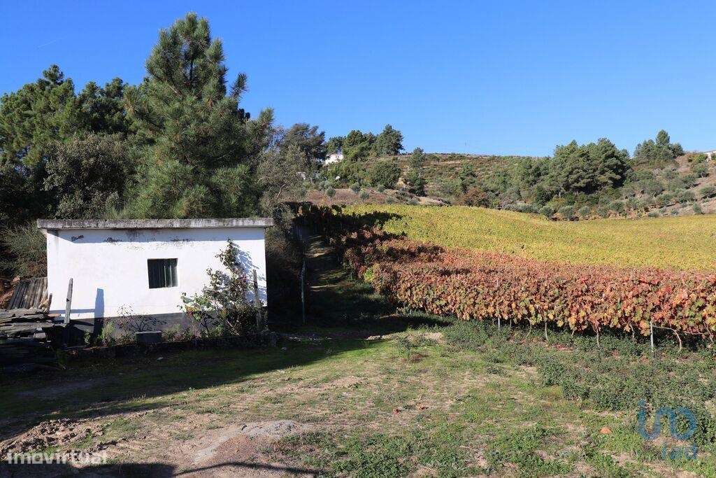 25 000 m², terreno para comprar Castedo e Cotas, Alijó, Vila Real