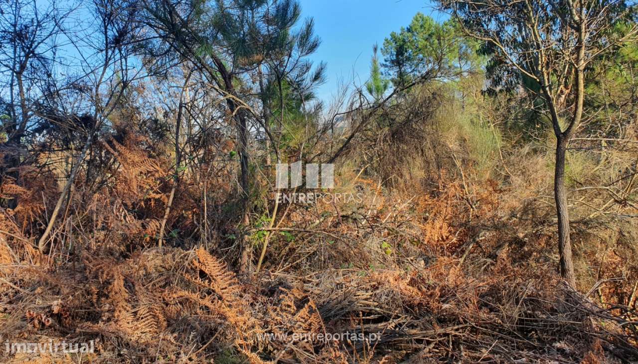 Venda Terreno, Várzea de Ovelha e Aliviada, Marco de Canaveses - Grande imagem: 5/30