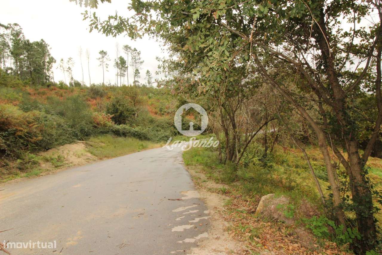 Terreno Venda Agilde Celorico de Basto - Grande imagem: 5/8