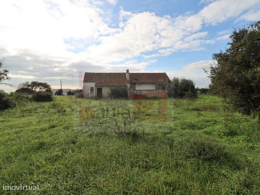 TERRENO COM 5.5HA ALCOCHETE - Grande imagem: 4/13