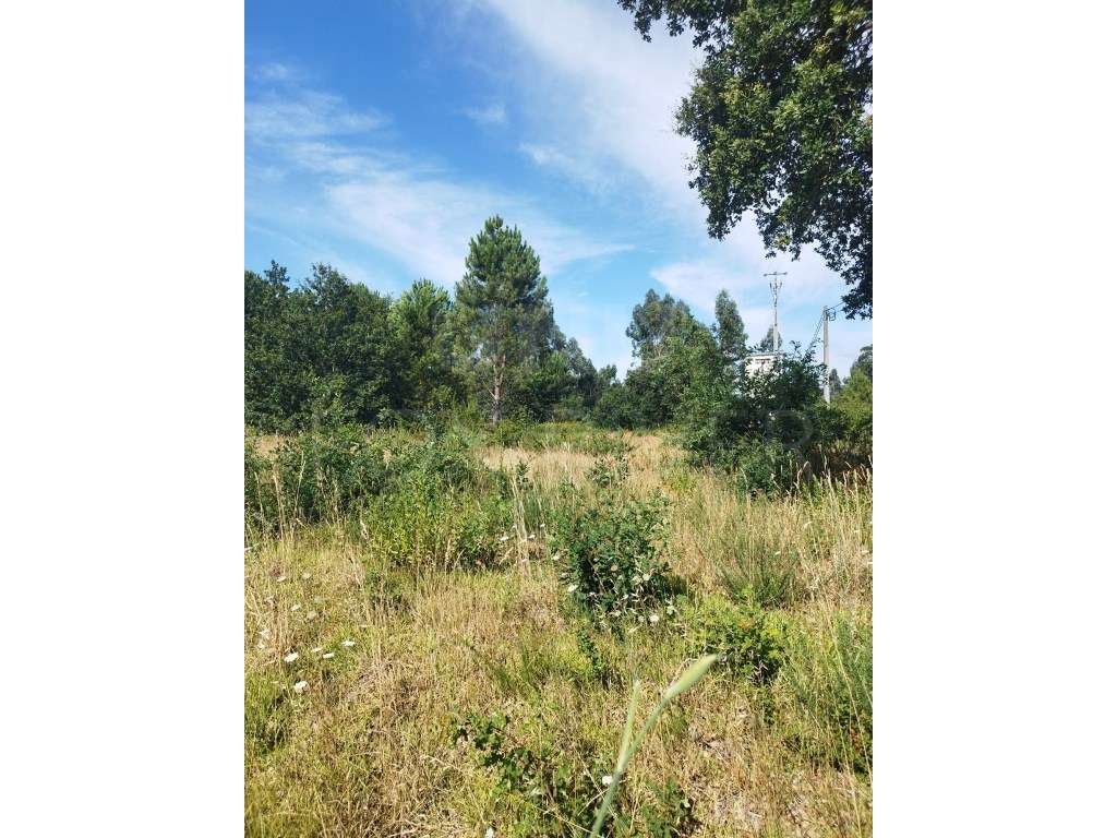 Terreno para Construção - Gandra, Valença-4