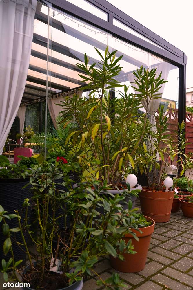 Dom Gościnny „Willa Ewa” w Międzyzdrojach na sprzedaż - Pełny obrazek: 3/15