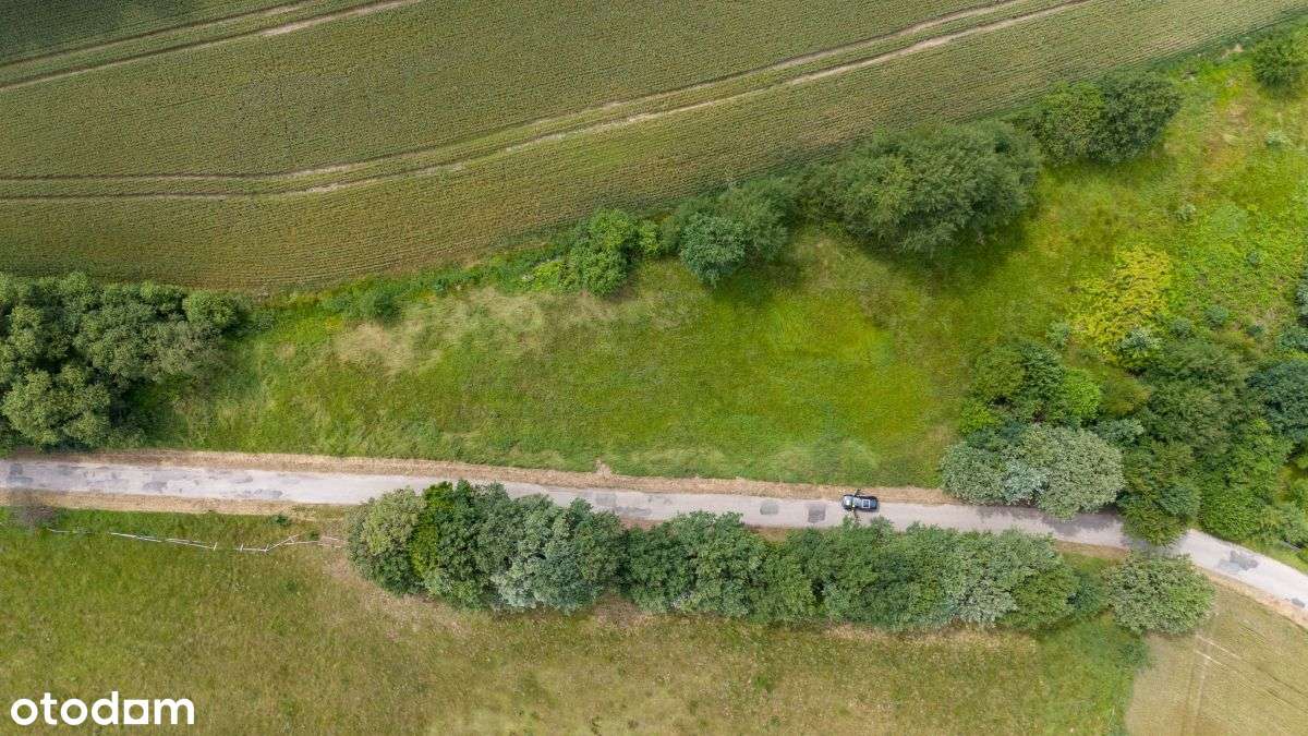 Działka budowlana Woźniki, Czarny Las - Pełny obrazek: 5/20