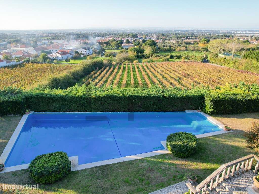 Quinta com Piscina e Vinha para Venda em Azeitão, Arrábida-19