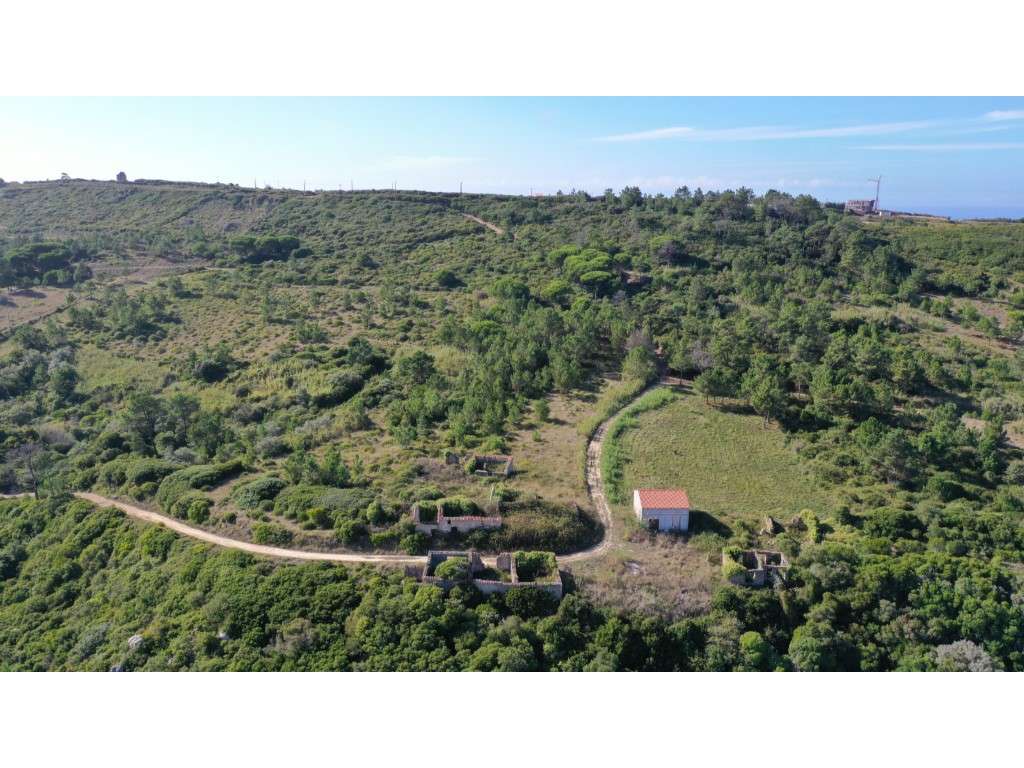 Terreno Misto na Serra da Pescaria - Grande imagem: 3/8