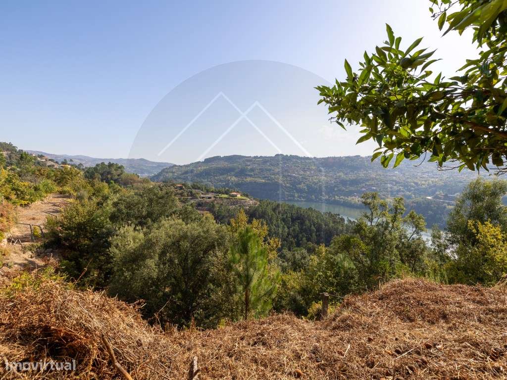 Propriedade com Vista Panorâmica para o Douro Moradia e Terreno com...-52