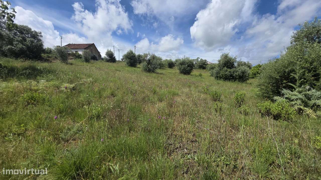 Excelente Terreno para Moradia a 5 kms de Tomar-20