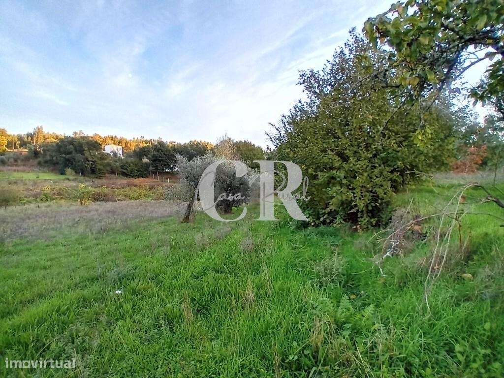 Moradia T3 com terreno pronta a habitar, logradouro e poço de água em-25