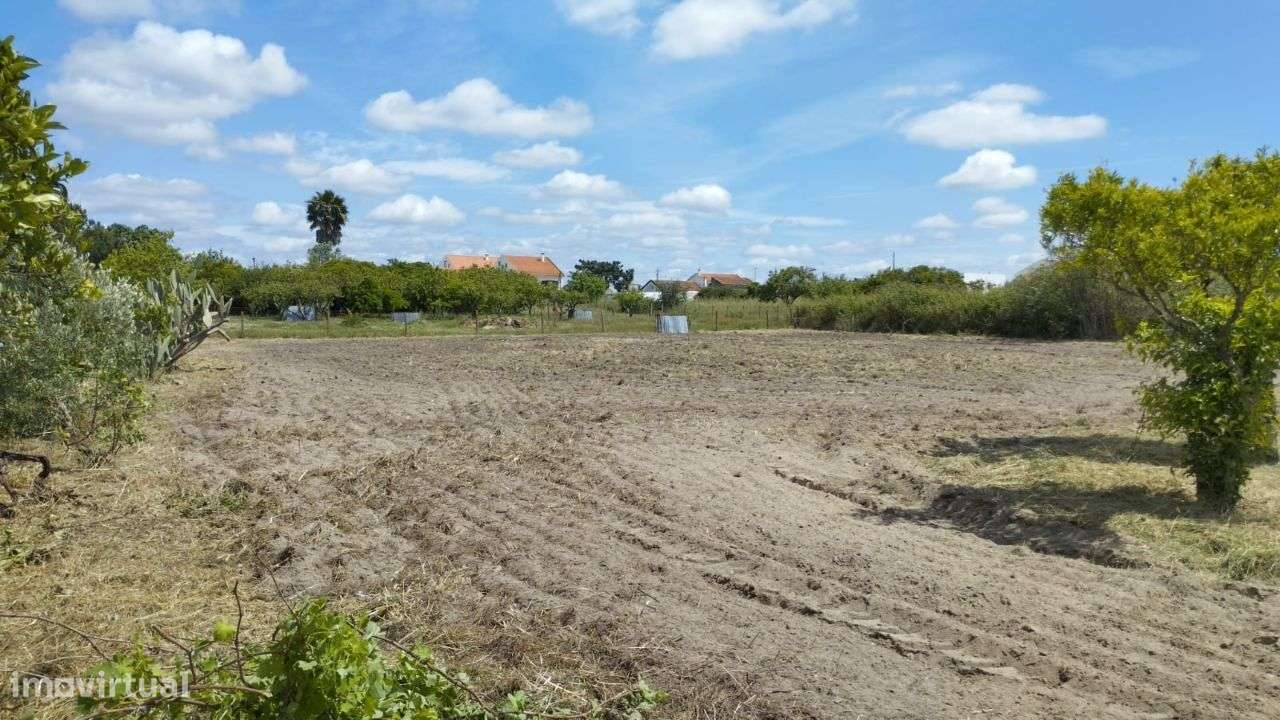 Vende-se Qintinha em Vendas Novas-9