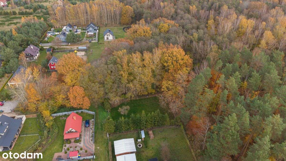 Działka budowlana w Sasinie - Pełny obrazek: 5/12