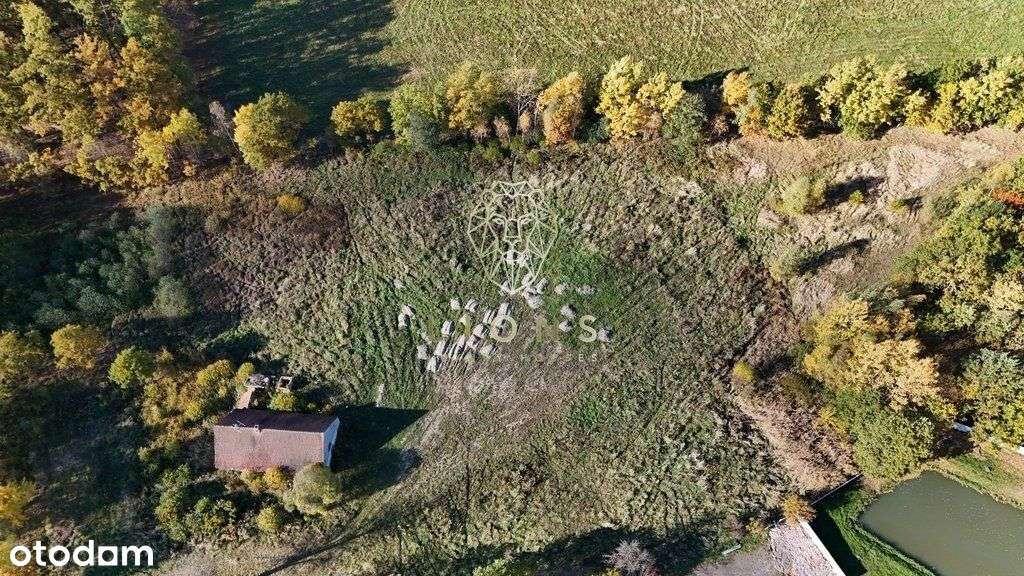 sprzedamy działkę z Wz o pow. 15000m2 (1,5ha) - Pełny obrazek: 3/6