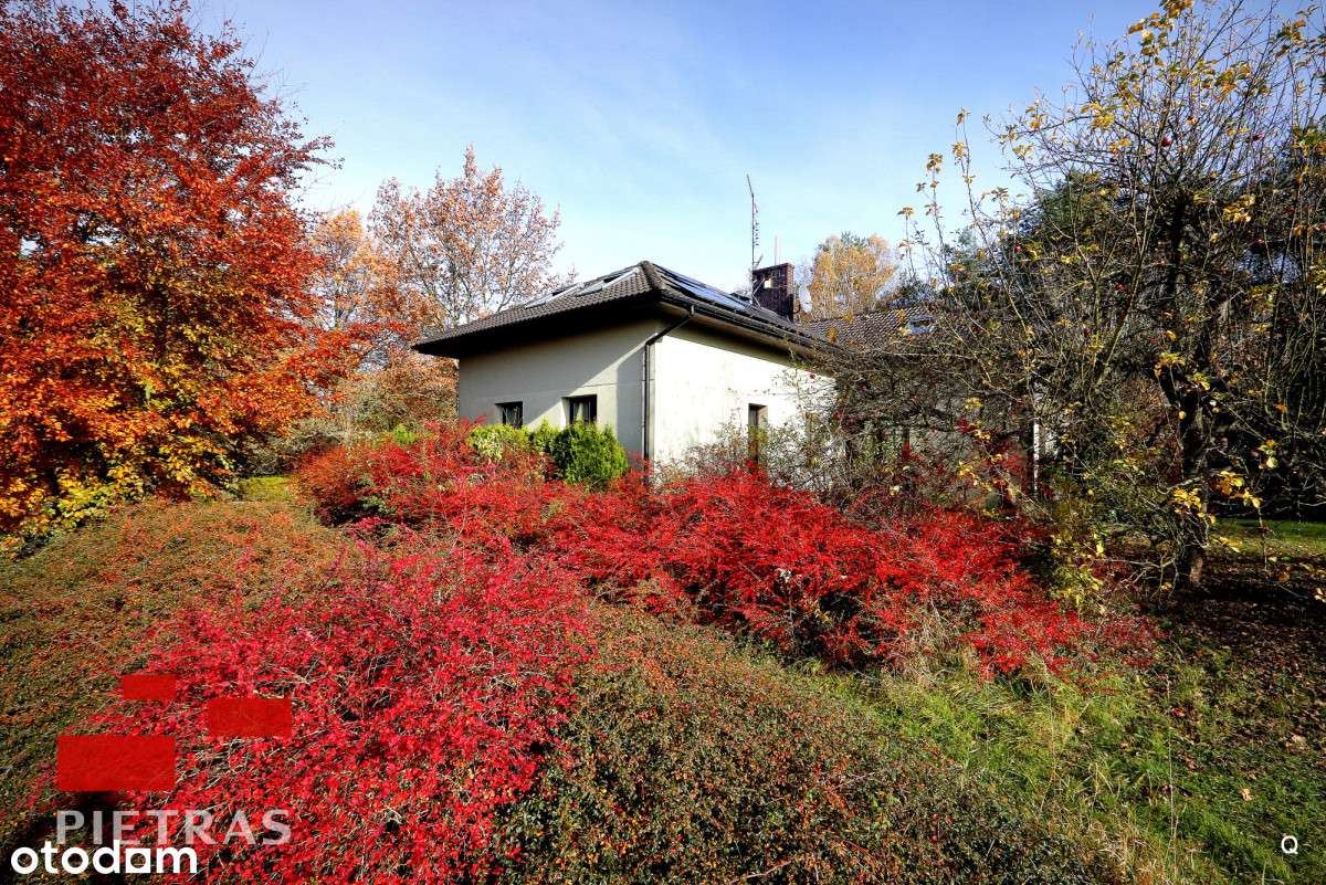 Wyjątkowe Puszcza Zielonka 3 działki z WZ-10