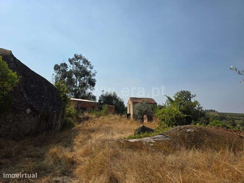 Quinta / Seia, Travancinha - Grande imagem: 5/9