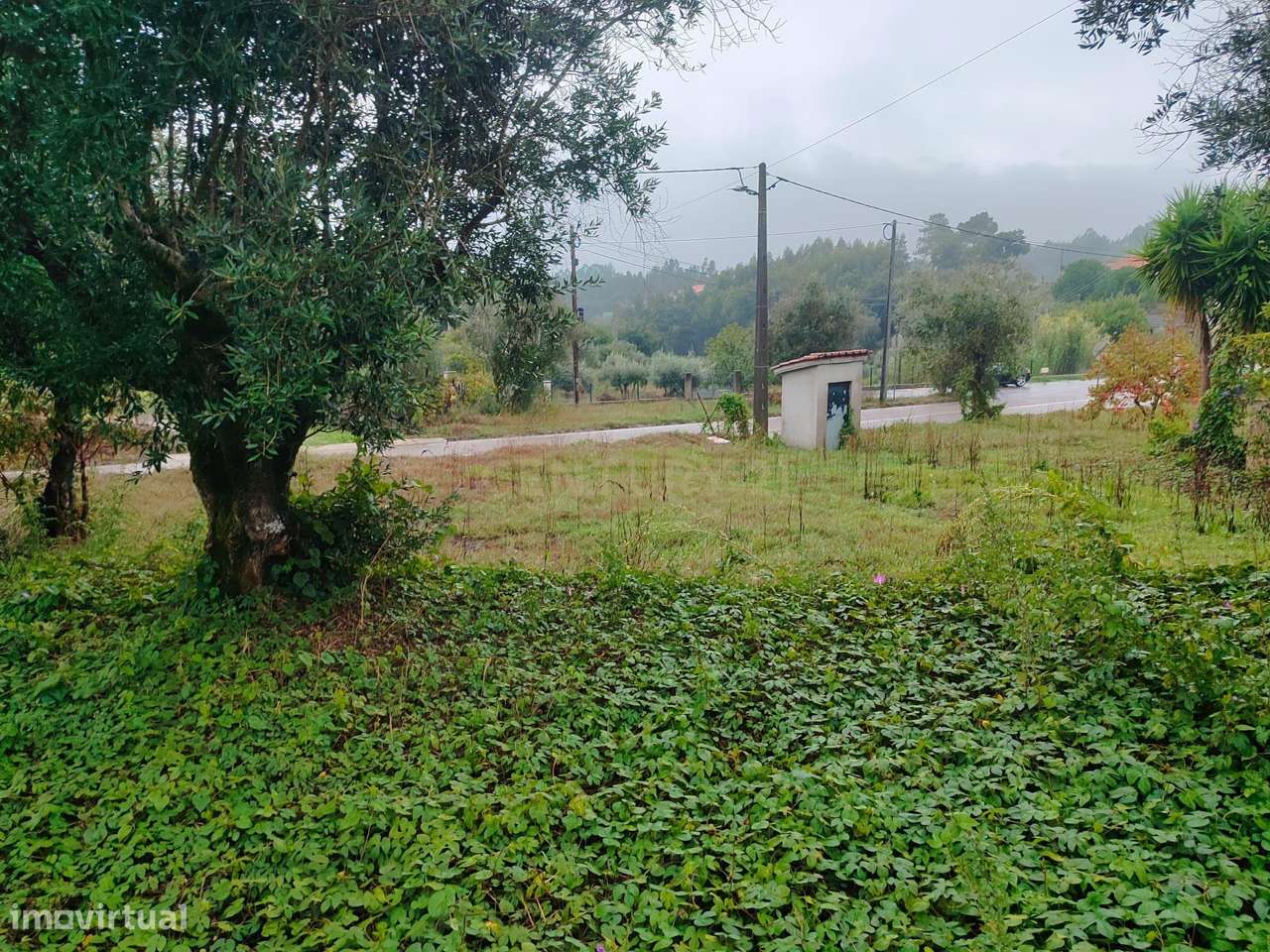 Moradia em ruínas em terreno misto, urbano e rústico, em Vendas do Rij - Grande imagem: 5/15