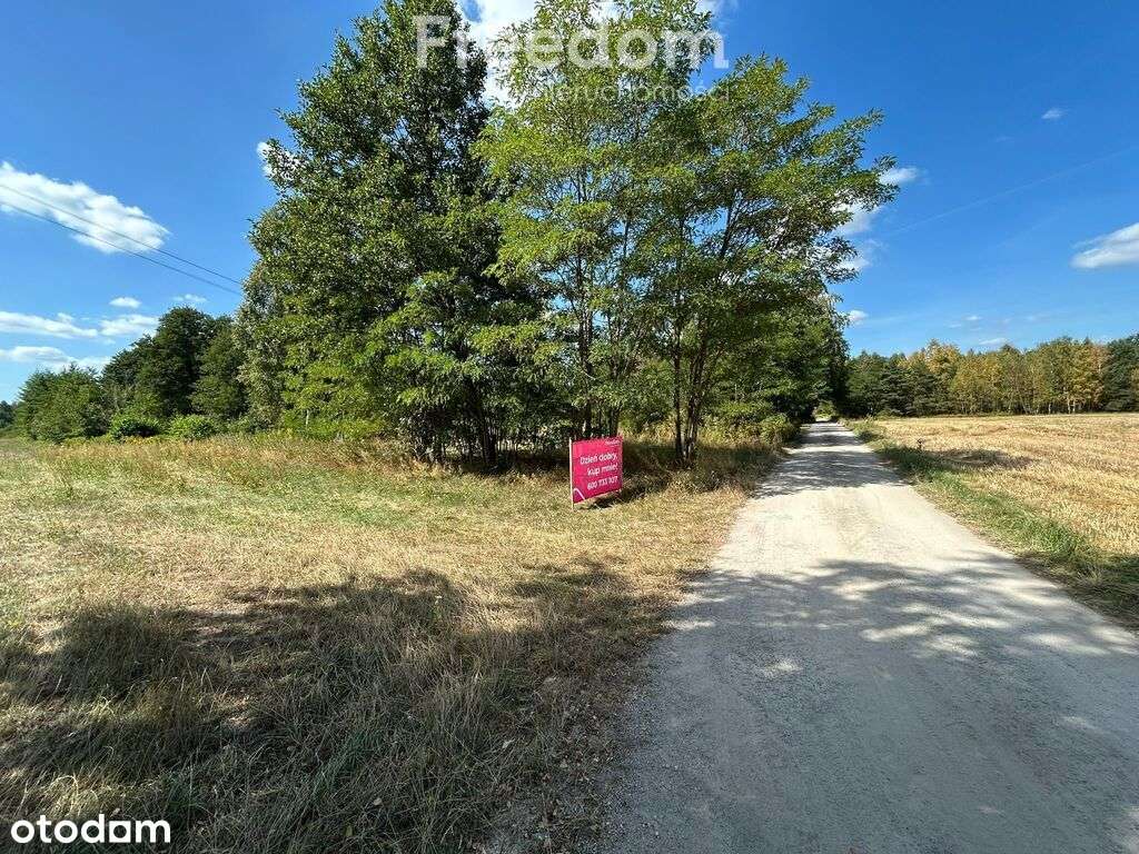 Okazja !Działka  budowlana w Lasominie gm.Siennica - Pełny obrazek: 5/8