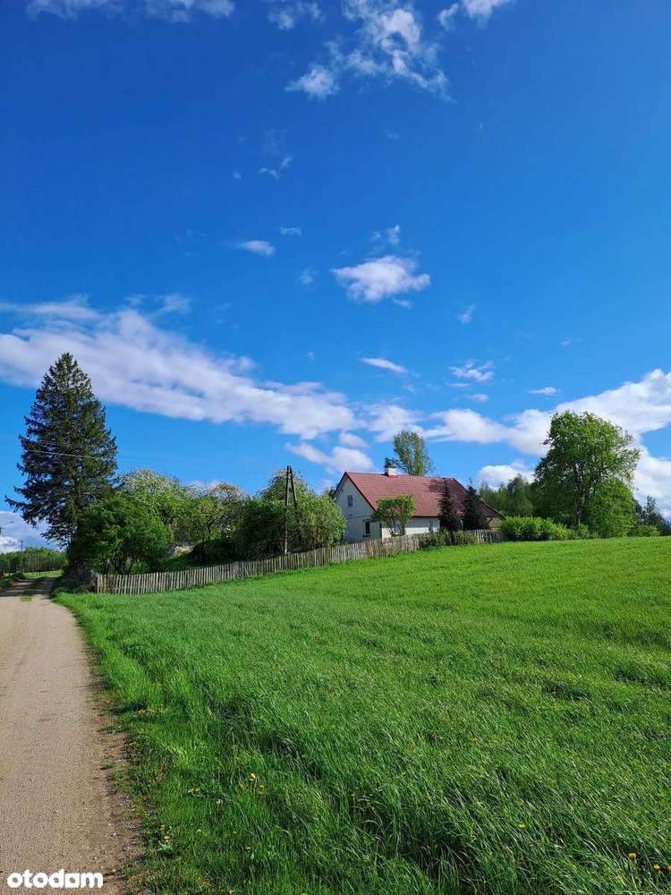 Siedlisko - Pełny obrazek: 1/11