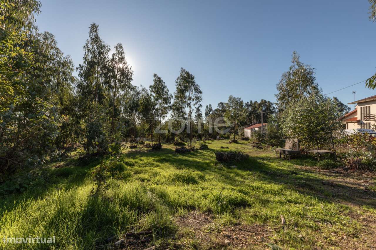 Terreno | São Facundo | Coimbra | 4950m2 - Grande imagem: 5/25