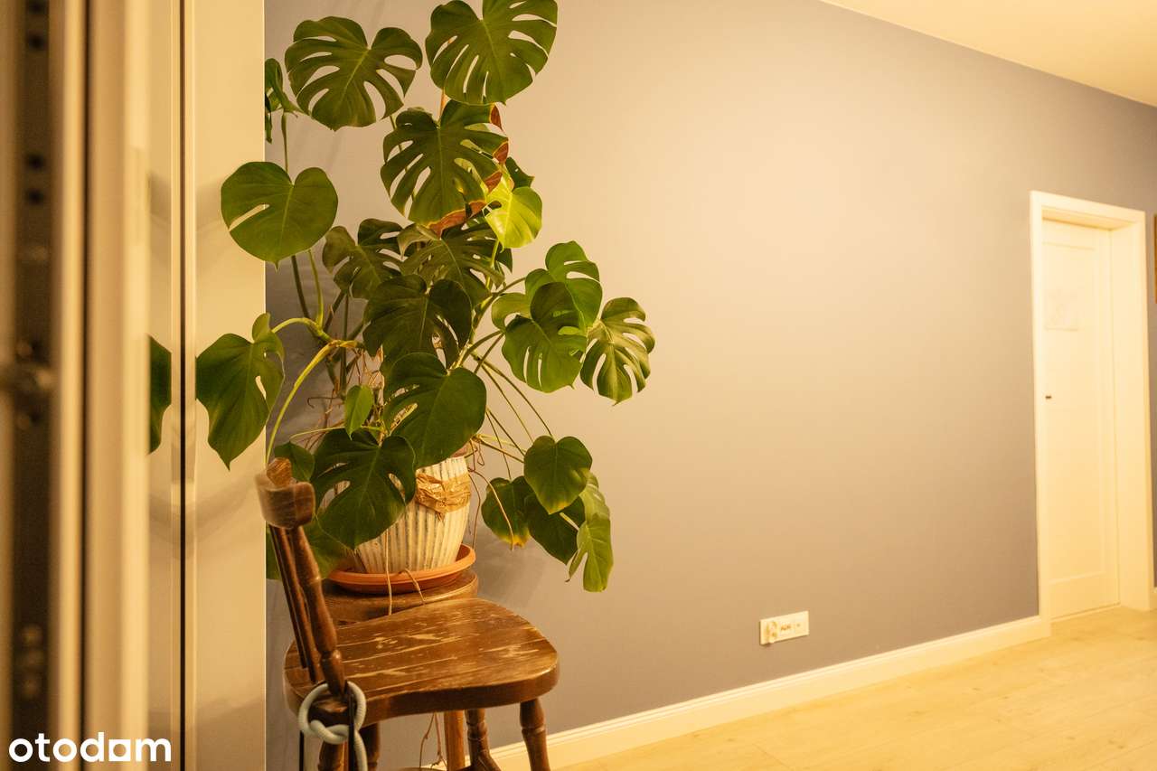 2-pok. Ul. Oławska 41 m2 ,2021 rok. - Pełny obrazek: 3/16