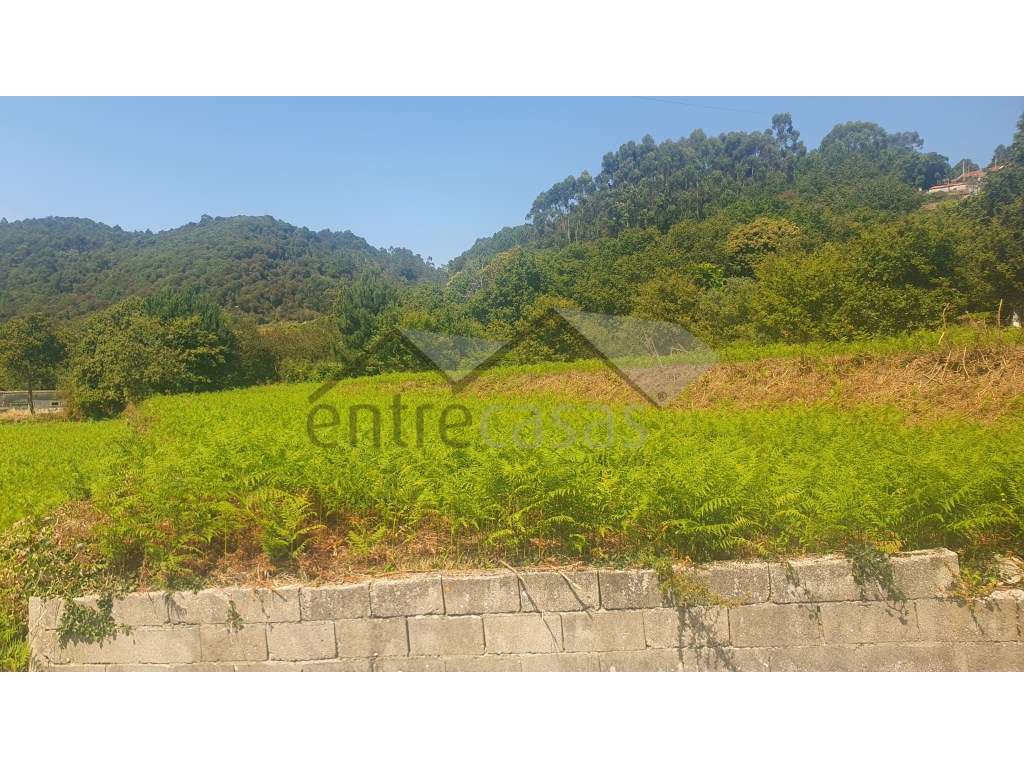 Terreno - Grande imagem: 2/8