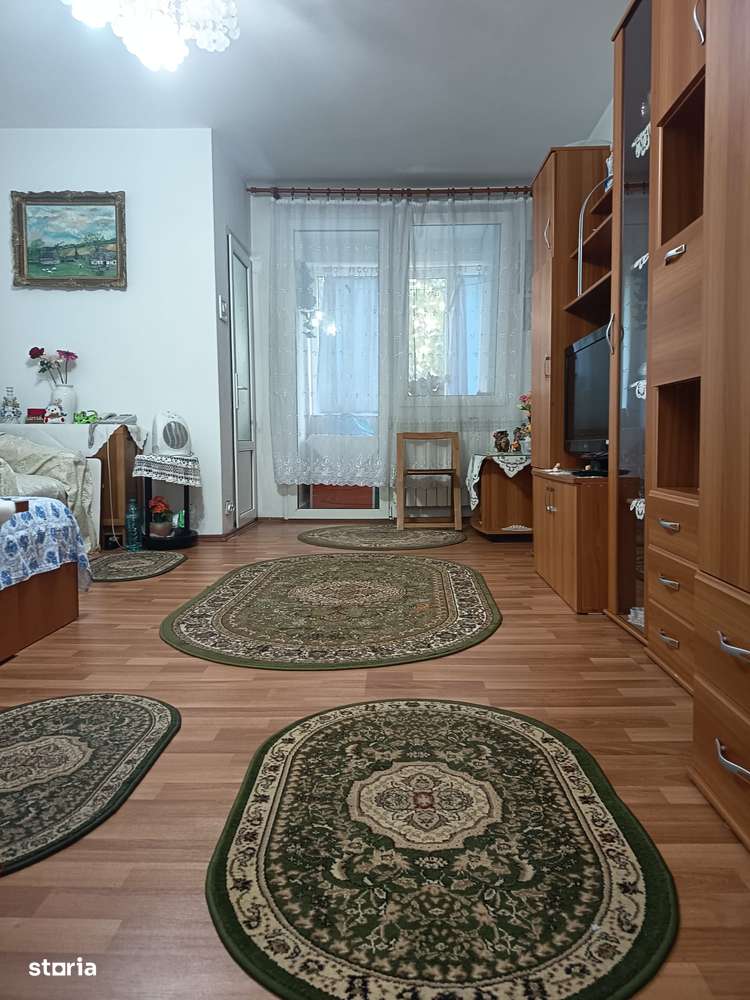 garsoniera vatra luminoasa-0