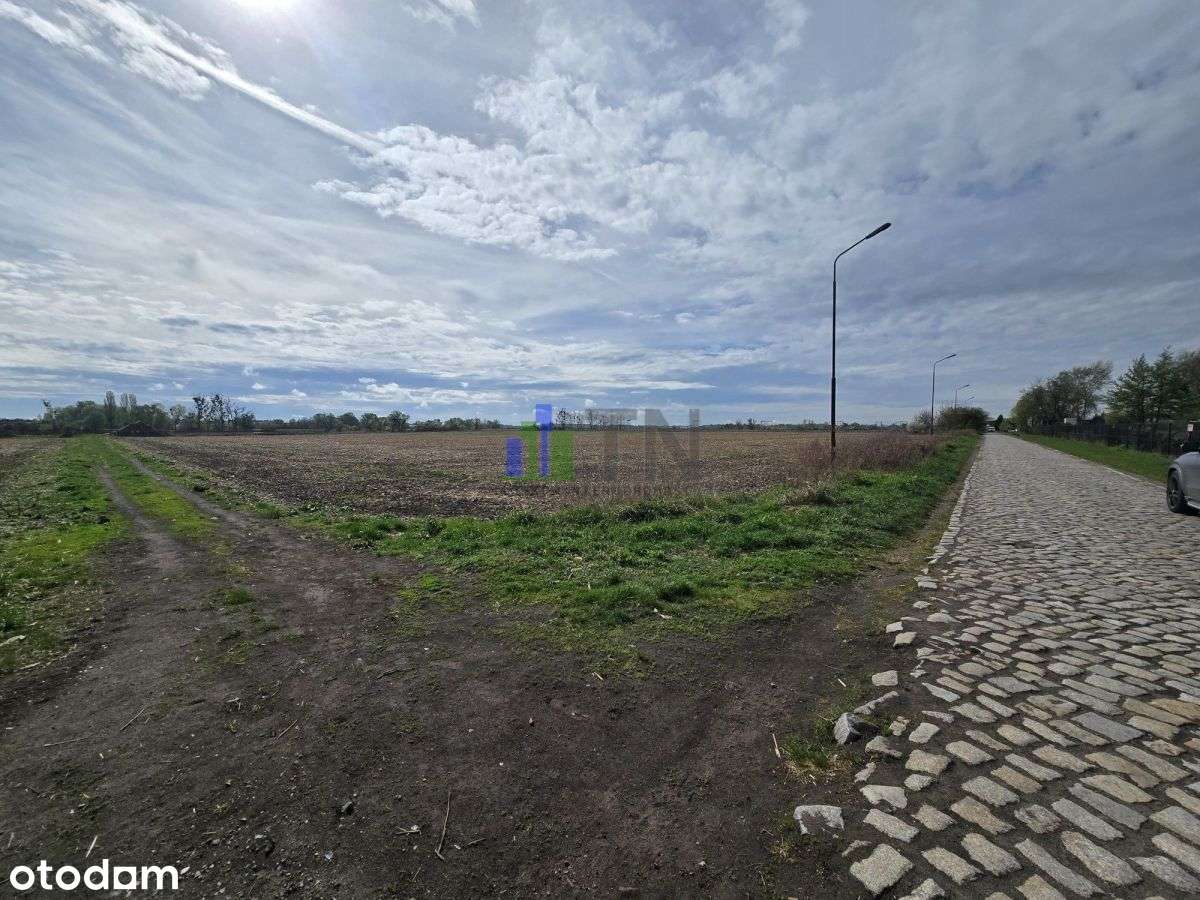 Okazja | Duży potencjał! - Pełny obrazek: 3/11