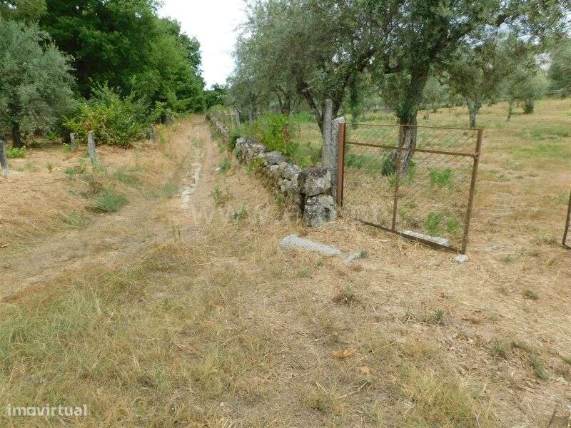 Terreno / Seia, Seia, São Romão e Lapa dos Dinheiros - Grande imagem: 4/12