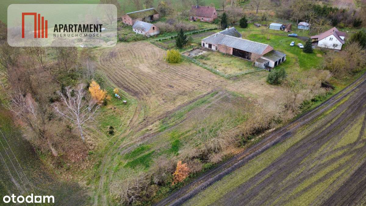 Dom z zabudowaniami na działce 1,24 ha - Pełny obrazek: 4/20