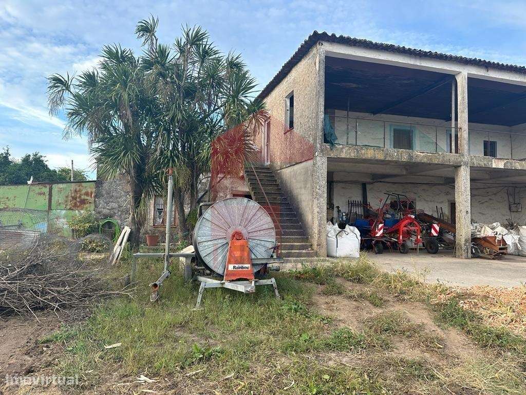 Quinta em Pedra, Soutelo - Grande imagem: 4/26