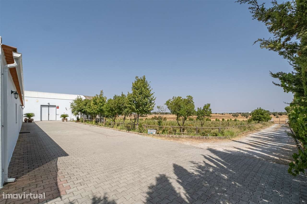 Quinta Biológica - Monte de Palma em Sao Manços com negócio.-33