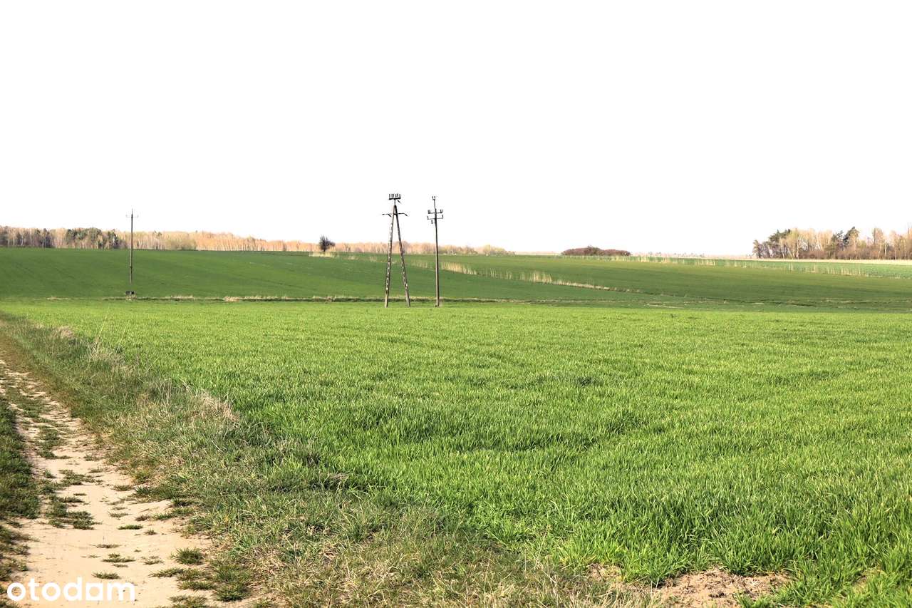 Ziemia rolna pod inwestycje, bez MPZP, gmina Przesmyki - Pełny obrazek: 2/6