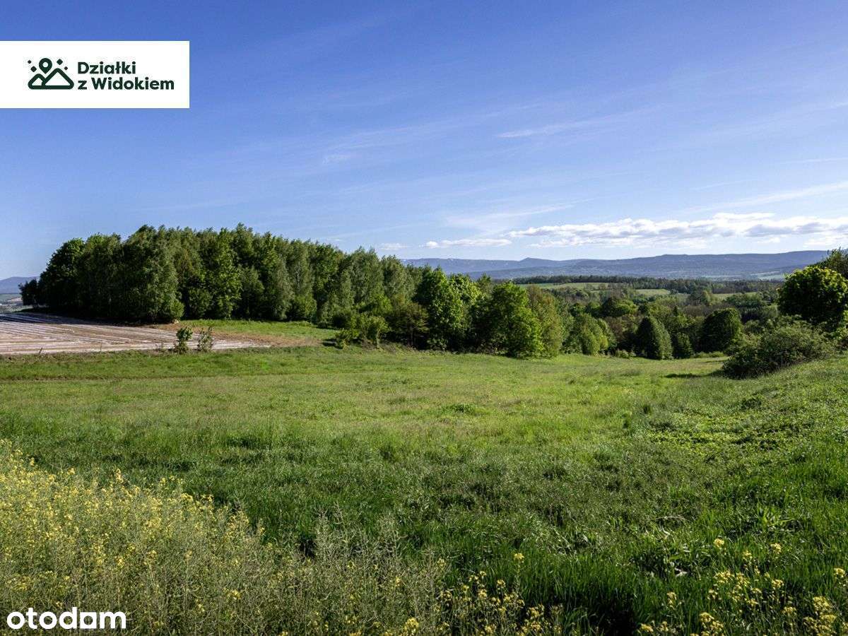 Pasiecznik - działka budowlana 10 min od Jeleniej Góry! - Pełny obrazek: 2/6