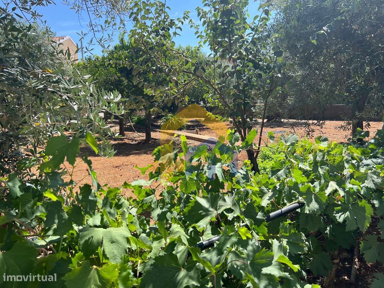 Moradia T4, no centro de Estremoz com quintal-18