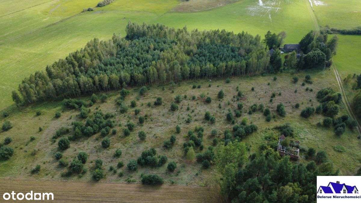 Siedlisko w sąsiedztwie lasu-11
