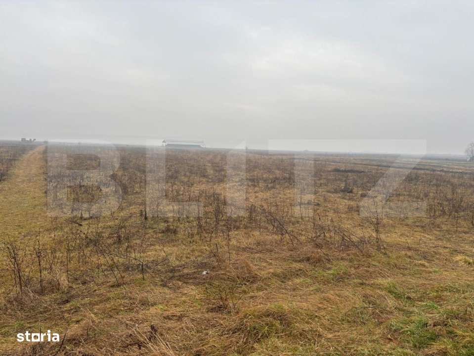 Teren Intravilan, 3000 mp, zona Chintelnic - Imagine principală: 4/4