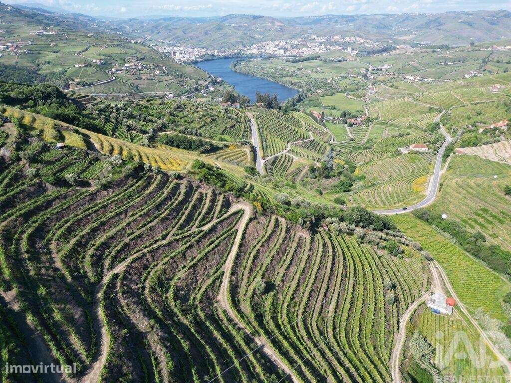 Terreno Agrícola em Samodães de 32187,00 m2 - Grande imagem: 4/9