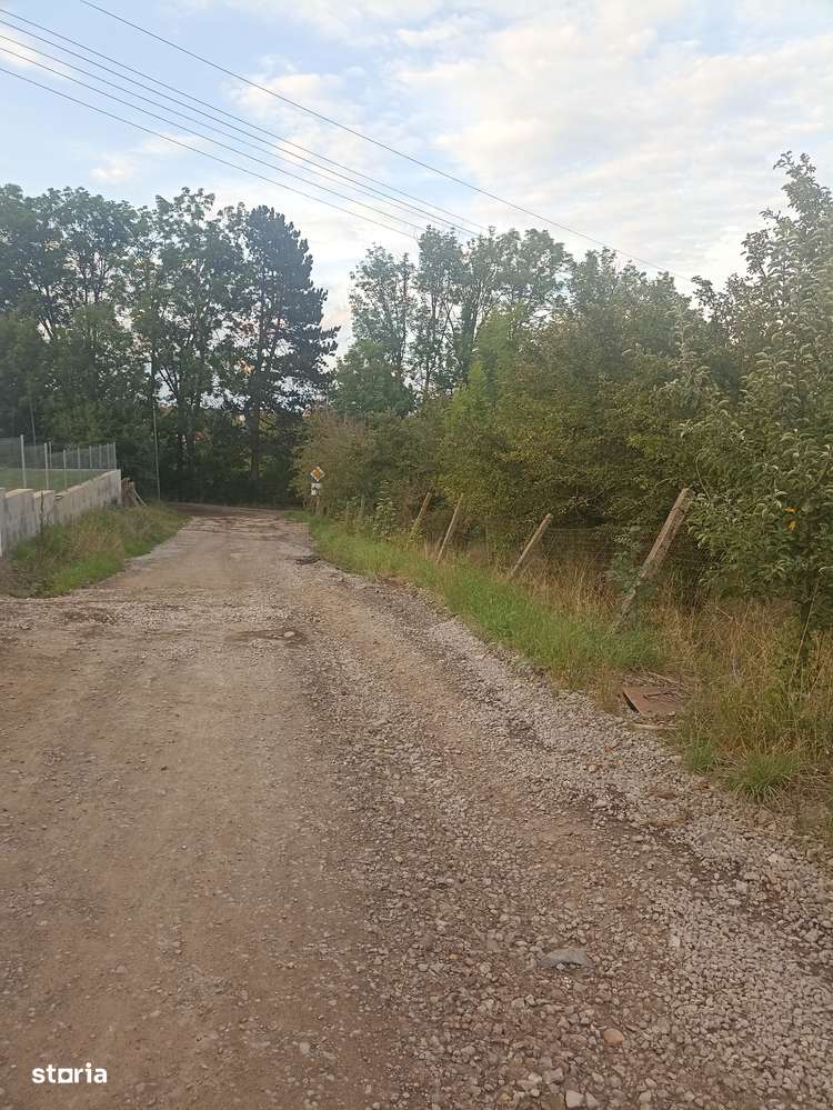 De vânzare terenuri intravilane în Sfântu Gheorghe-7