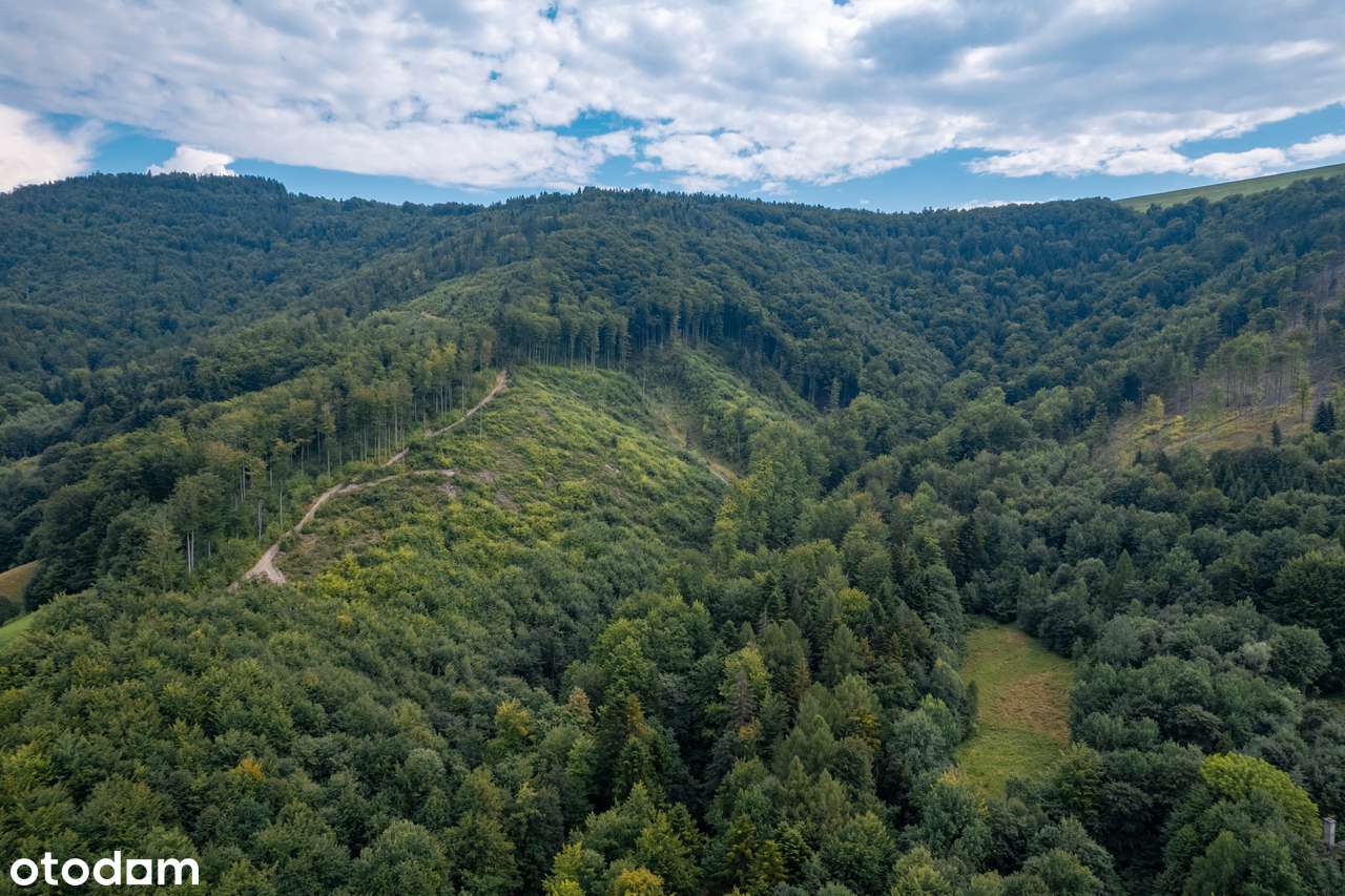 Kozubnik: Twój Azyl w Sercu Gór | Mieszkanie i Inwestycja w Jednym-8